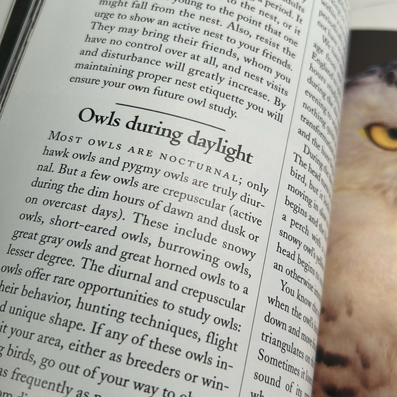 🌻4/$20 Vintage How to Spot An Owl Softcover 1994 Softcover Book Chapters Publ - Picture 11 of 16